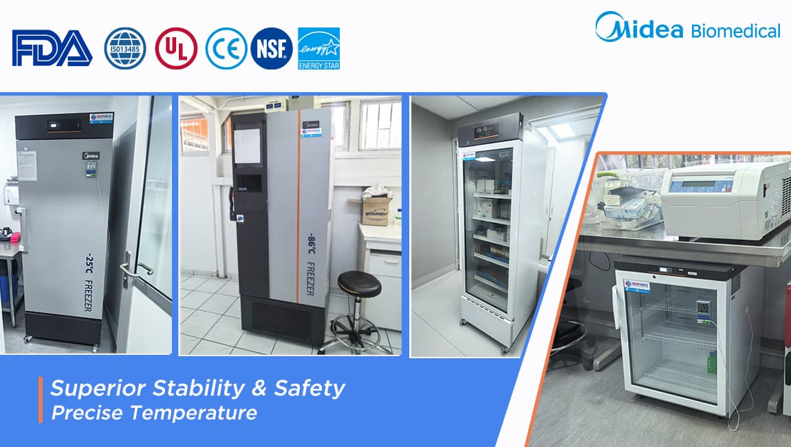 Asegurando el futuro de la acuicultura: entrevista con un destacado laboratorio pesquero chileno