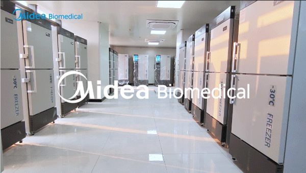 Midea Biomedical entrega unidades críticas de almacenamiento en frío a un hospital para la construcción de un biobanco.